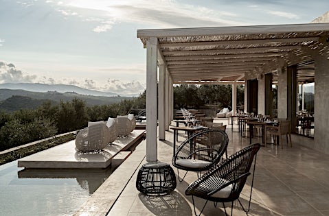 Olea All Suite